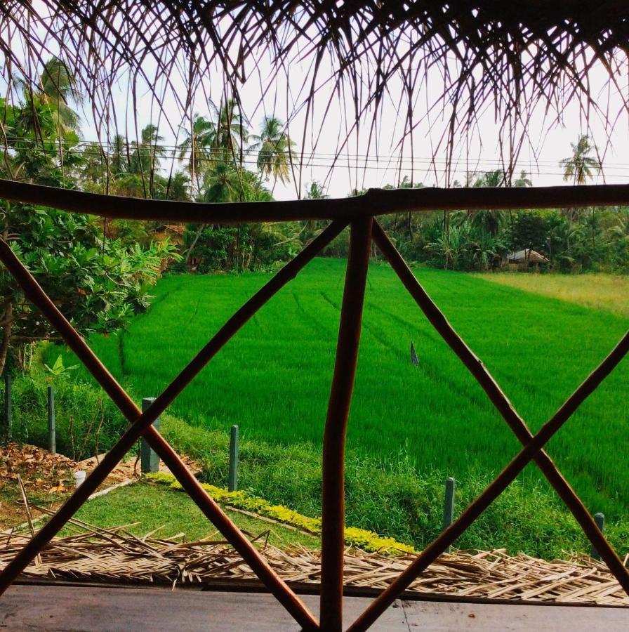 The Green View Yala Tissamaharama Eksteriør billede